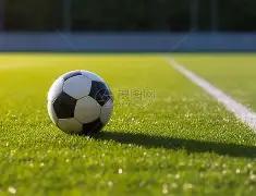 雄狮队在国,际足球友谊,赛中败给马,ebpay,ebpay钱包,ebpay钱包官网下载