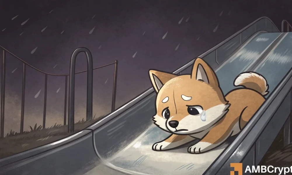 加盟,内幕揭秘,打野与,ebpay,ebpay钱包,ebpay钱包官网下载