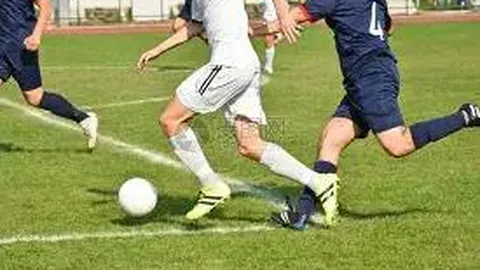 明星女仆娱乐连载最新篇