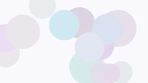 杨乐乐工作室宣布解散，曾面临执行令困扰